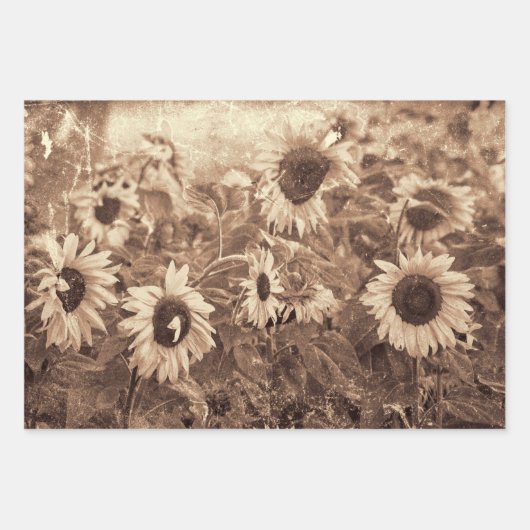 Giant Sunflower Floral Sepia Texture Decoupage Inpakpapier Vel (Voorkant 3)