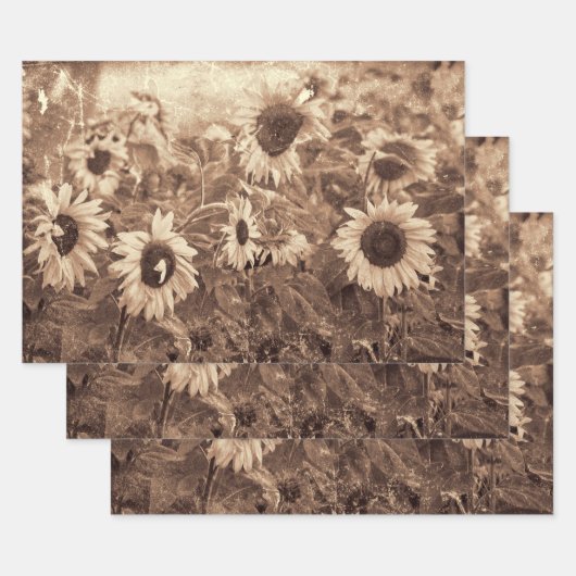 Giant Sunflower Floral Sepia Texture Decoupage Inpakpapier Vel (Set)