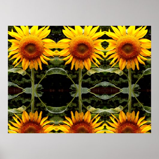 Giant Sunflower, geel bloespatroon Poster (Voorkant)
