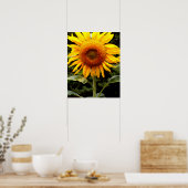 Giant Sunflower, gele bloem Poster (Keuken)