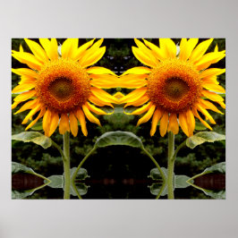 Giant Sunflower, gele bloem Poster