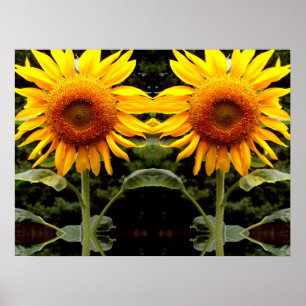 Giant Sunflower, gele bloem Poster