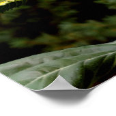 Giant Sunflower, gele bloem Poster (Hoek)