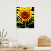 Giant Sunflower, gele bloem Poster (Keuken)