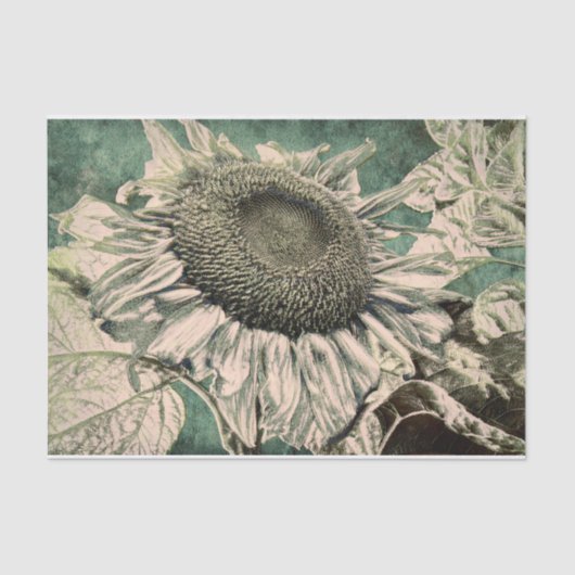 Giant Sunflower  Green Beige Decoupage Tissuepapier (Voorkant)