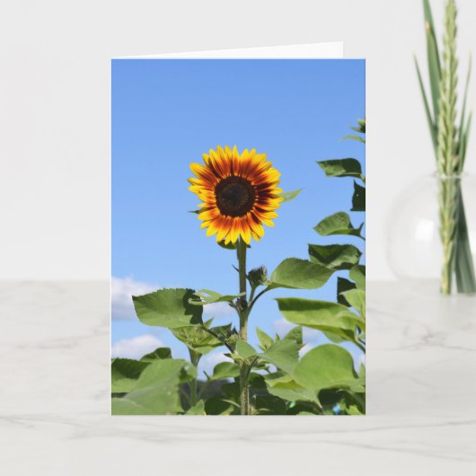Giant Sunflower - Happy Wenskaart Kaart (Voorkant)
