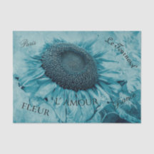 Giant Sunflower Light Blauwgroen Blue  script