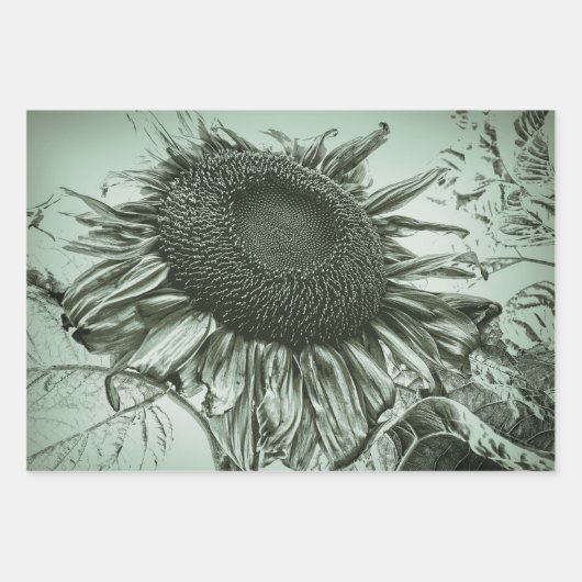 Giant Sunflower Light Green  Antiek Art Inpakpapier Vel (Voorkant 3)