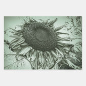 Giant Sunflower Light Green  Antiek Art Inpakpapier Vel (Voorkant 2)