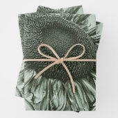 Giant Sunflower Light Green  Antiek Art Inpakpapier Vel (In situ)