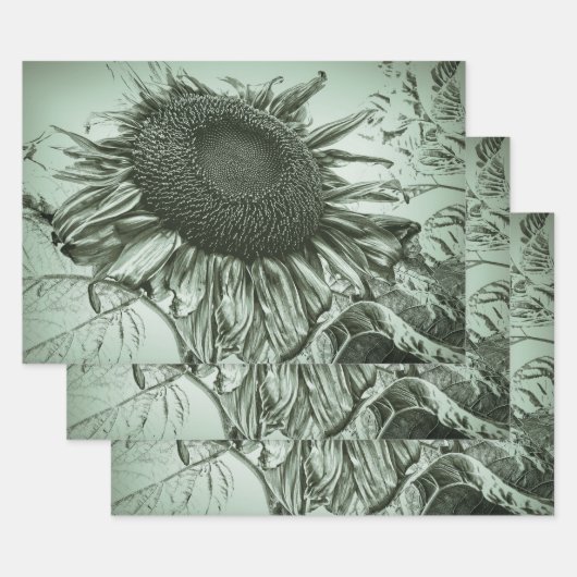 Giant Sunflower Light Green  Antiek Art Inpakpapier Vel (Set)