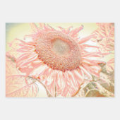 Giant Sunflower Pastel Pink Art ontbinding Inpakpapier Vel (Voorkant 3)