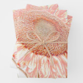 Giant Sunflower  Pastel Pink Art ontbinding Inpakpapier Vel (In situ)