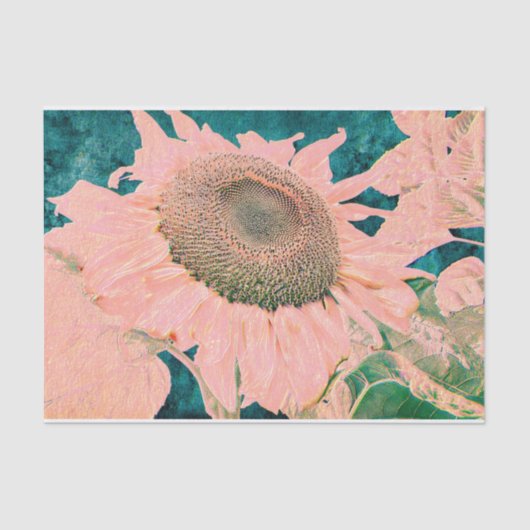 Giant Sunflower Roze Green Art-ontkoppeling Tissuepapier (Voorkant)