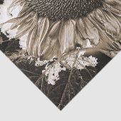 Giant Sunflower Rustic Sepia Tone  Tissuepapier (Detail)