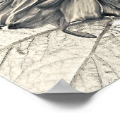 Giant Sunflower Sepia Botanical Art Poster (Hoek)