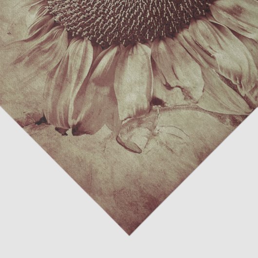 Giant Sunflower Sepia Brown  Antiek Tissuepapier (Detail)
