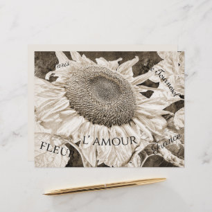 Giant Sunflower Sepia Brown Ephemera Script