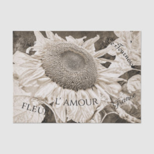 Giant Sunflower Sepia Brown Texture Script Tissuepapier