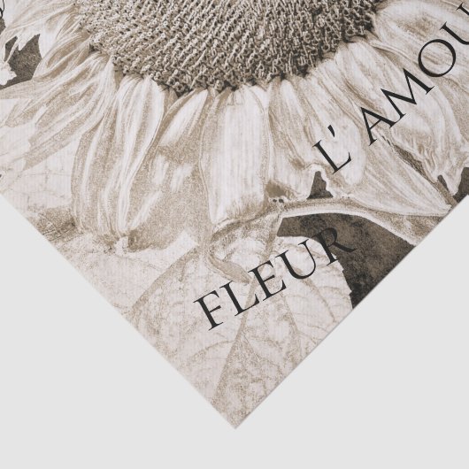 Giant Sunflower Sepia Brown Texture Script Tissuepapier (Detail)