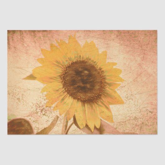 Giant  Sunflower Sepia Brown Yellow Texture Tissuepapier (Voorkant)