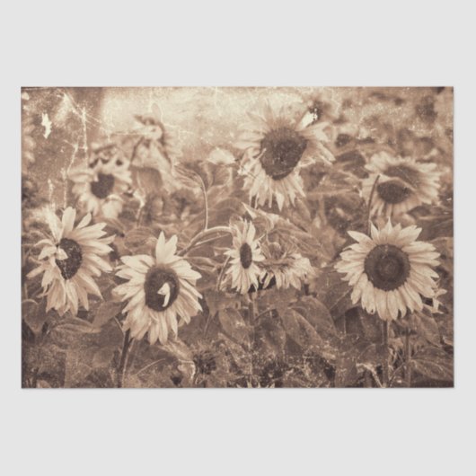 Giant Sunflower Sepia Floral Texture Decoupage Tissuepapier (Voorkant)