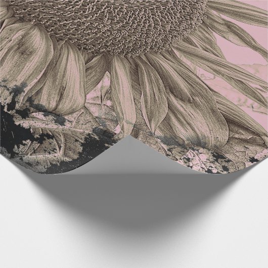 Giant Sunflower Sepia Pink Black Vignette Cadeaupapier (Hoek)