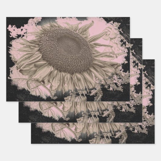 Giant Sunflower  Sepia Pink Black Vignette Inpakpapier Vel (Set)