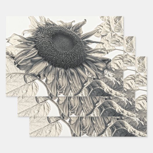 Giant Sunflower Vintage Sepia Decoupage Art Inpakpapier Vel (Set)
