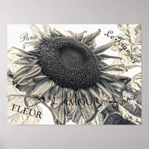 Giant Sunflower Vintage Sepia Decoupage Ephemera Poster
