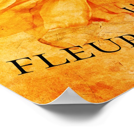 Giant Sunflower Yellow Grunge Script Poster (Hoek)