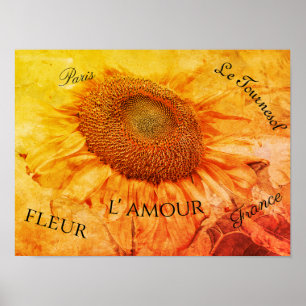 Giant Sunflower Yellow Grunge  Script Poster