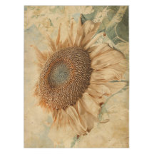 Giant Sunflower Yellow Old  Art