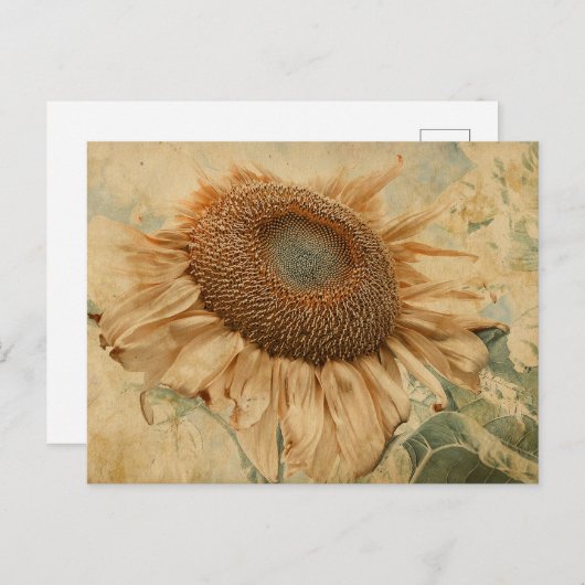 Giant Sunflower Yellow Old  Decoupage Art Briefkaart (Voorkant / Achterkant)