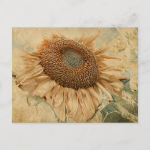 Giant Sunflower Yellow Old  Decoupage Art Briefkaart