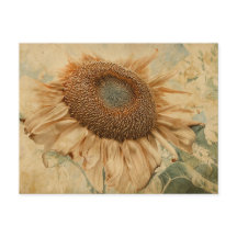 Giant Sunflower Yellow Old  Decoupage Art