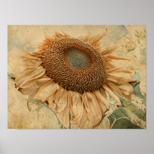 Giant Sunflower Yellow Old  Decoupage Art Poster