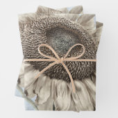 Giant Sunflower Yellow Pastel Chic  Antiek Inpakpapier Vel (In situ)