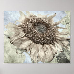 Giant Sunflower Yellow Pastel Chic  Antiek Poster