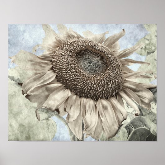 Giant Sunflower Yellow Pastel Chic  Antiek Poster (Voorkant)
