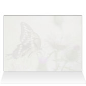 Giant Swallowtail Butterfly (Binnen Horizontaal (Boven))