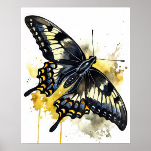 Giant Swallowtail Butterfly Art Print Poster