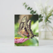 Giant Swallowtail Butterfly Briefkaart (Staand voorkant)