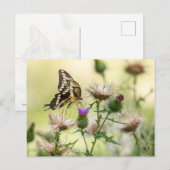 Giant Swallowtail Butterfly Briefkaart (Voorkant / Achterkant)