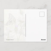 Giant Swallowtail Butterfly Briefkaart (Achterkant)