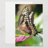 Giant Swallowtail Butterfly Briefpapier (Voorkant / Achterkant)