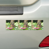 Giant Swallowtail Butterfly Bumpersticker (Op auto)