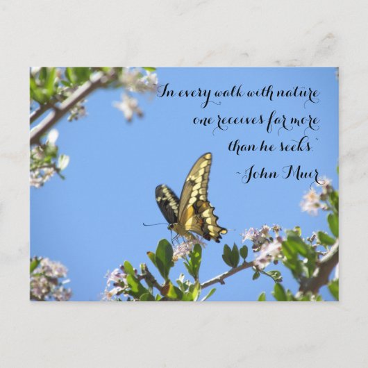 Giant Swallowtail Butterfly met John Muir Quote Briefkaart (Voorkant)