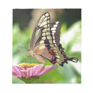 Giant Swallowtail Butterfly Notitieblok