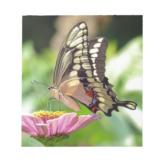 Giant Swallowtail Butterfly Notitieblok (Voorkant)